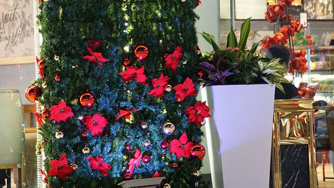 Không khí Noel tràn ngập phố phường Hà Nội